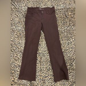 Faded Glory Chocolate Bootcut Pants